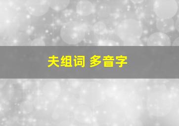 夫组词 多音字